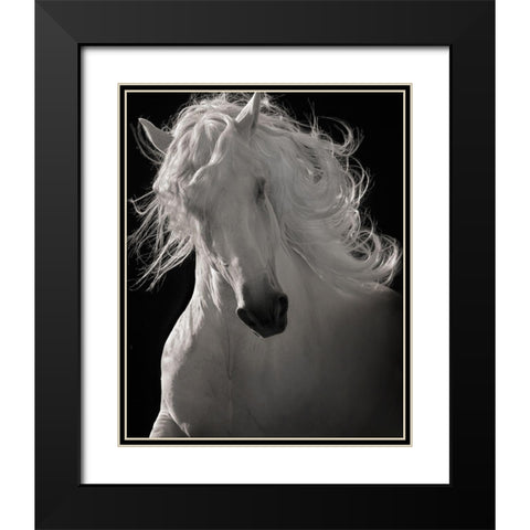 The Lusitano Dancer Black Modern Wood Framed Art Print with Double Matting by Dawson, Robert