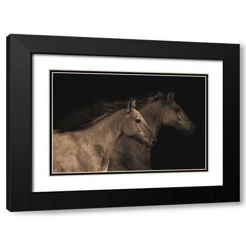 Young Mustangs Black Modern Wood Framed Art Print with Double Matting by Dawson, Robert