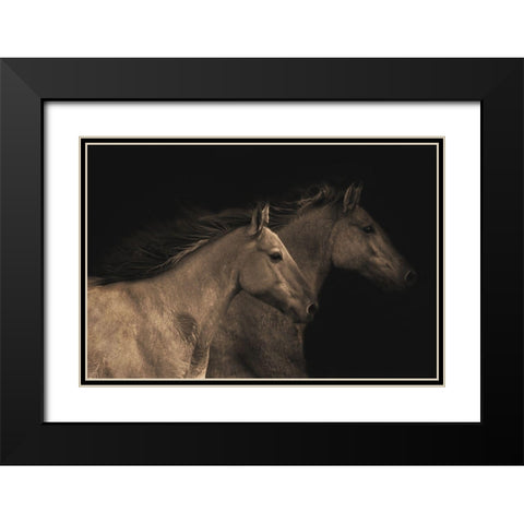 Young Mustangs Black Modern Wood Framed Art Print with Double Matting by Dawson, Robert