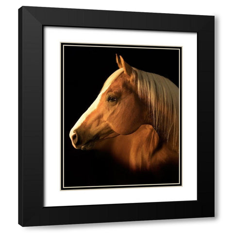 Yellow Jersey Black Modern Wood Framed Art Print with Double Matting by Dawson, Robert