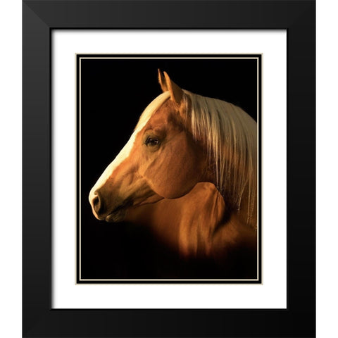 Yellow Jersey Black Modern Wood Framed Art Print with Double Matting by Dawson, Robert
