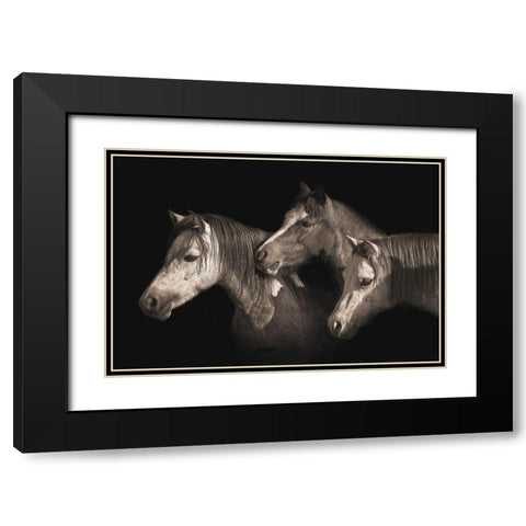 Three Ponies Black Modern Wood Framed Art Print with Double Matting by Dawson, Robert
