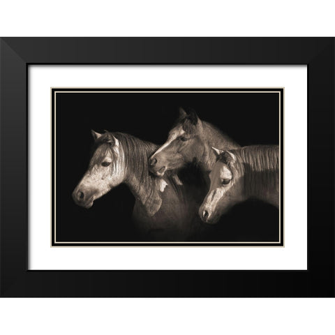 Three Ponies Black Modern Wood Framed Art Print with Double Matting by Dawson, Robert