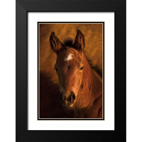 Whats Up Black Modern Wood Framed Art Print with Double Matting by Dawson, Robert