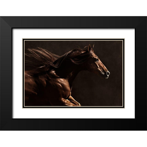 Into the Wind Black Modern Wood Framed Art Print with Double Matting by Dawson, Robert