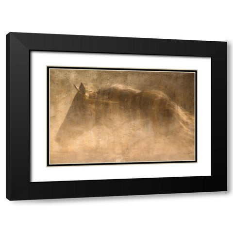 The Quarter Horse Black Modern Wood Framed Art Print with Double Matting by Dawson, Robert