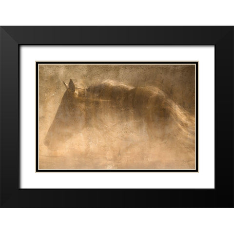 The Quarter Horse Black Modern Wood Framed Art Print with Double Matting by Dawson, Robert