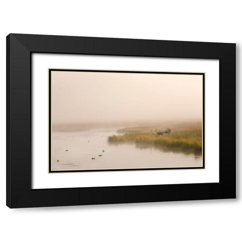Breakfast in Paridise Black Modern Wood Framed Art Print with Double Matting by Dawson, Robert