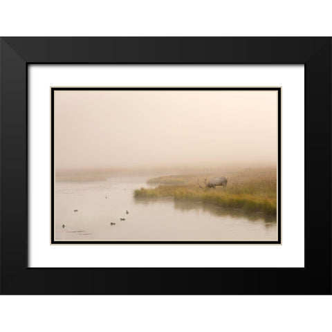 Breakfast in Paridise Black Modern Wood Framed Art Print with Double Matting by Dawson, Robert