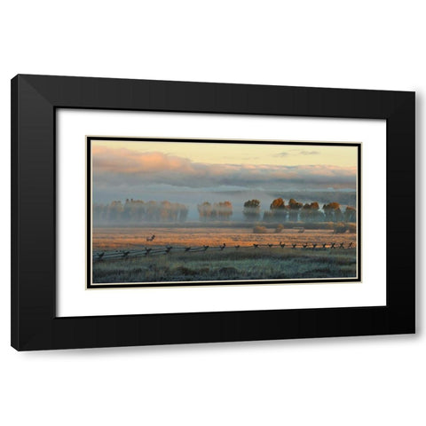 In the Morning Mist Black Modern Wood Framed Art Print with Double Matting by Dawson, Robert