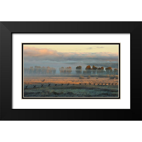 In the Morning Mist Black Modern Wood Framed Art Print with Double Matting by Dawson, Robert