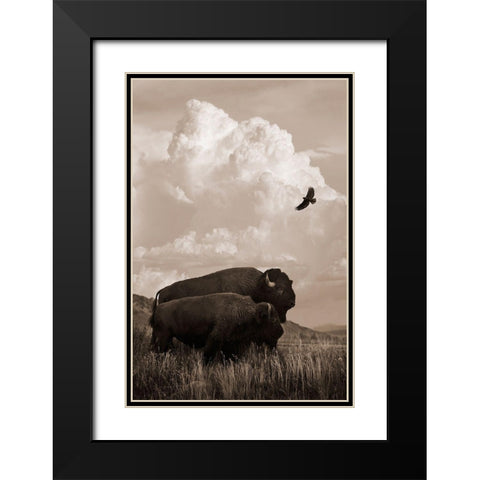 The American Buffalo Black Modern Wood Framed Art Print with Double Matting by Dawson, Robert