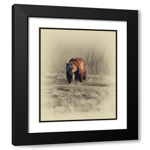 Grizzly Black Modern Wood Framed Art Print with Double Matting by Brown, Jim