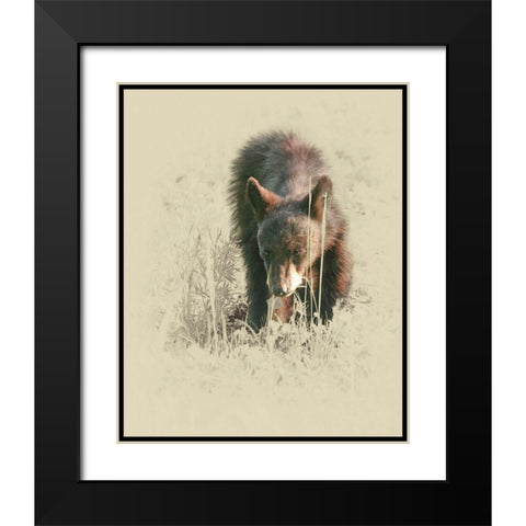 Young Black Bear Black Modern Wood Framed Art Print with Double Matting by Brown, Jim