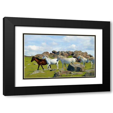 Wild Horses II Black Modern Wood Framed Art Print with Double Matting by Bolokofsky, Ronald