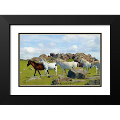 Wild Horses II Black Modern Wood Framed Art Print with Double Matting by Bolokofsky, Ronald