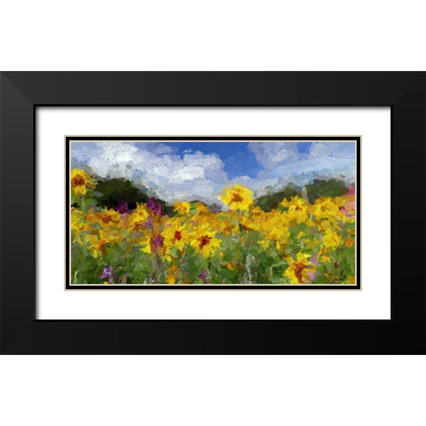 Sunflower Fields II Black Modern Wood Framed Art Print with Double Matting by Bolokofsky, Ronald