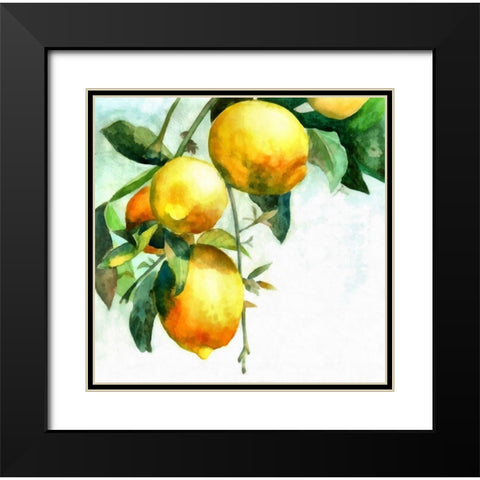 Lemons Black Modern Wood Framed Art Print with Double Matting by Bolokofsky, Ronald