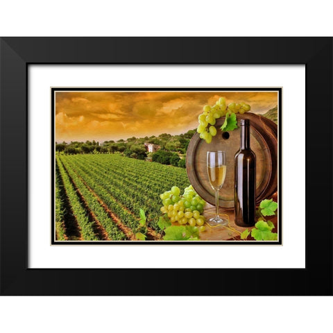 Tuscan Wine Black Modern Wood Framed Art Print with Double Matting by Bolokofsky, Ronald