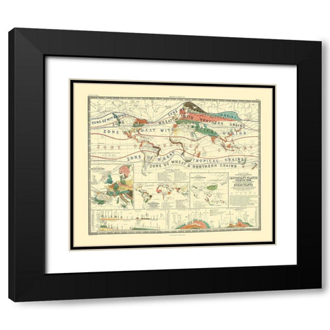 World Cultivation Grains - Johnston Black Modern Wood Framed Art Print with Double Matting by Johnston