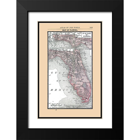 Florida - Alden 1886 Black Modern Wood Framed Art Print with Double Matting by Alden