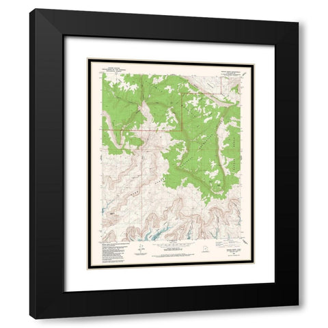 Navajo Point Utah Quad - USGS 1985 Black Modern Wood Framed Art Print with Double Matting by USGS