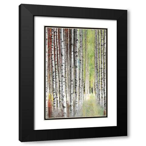 Abstract Birch II Black Modern Wood Framed Art Print with Double Matting by Brey