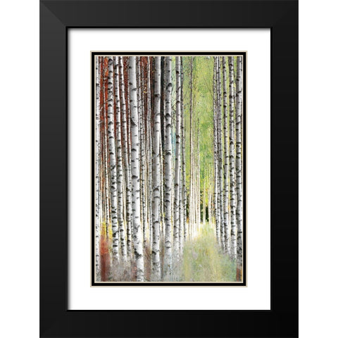 Abstract Birch II Black Modern Wood Framed Art Print with Double Matting by Brey