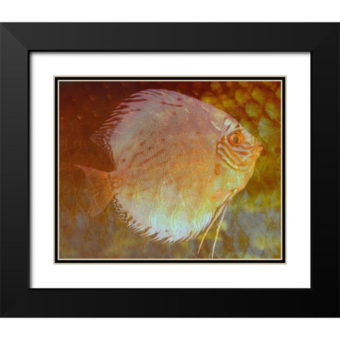 Discus I Black Modern Wood Framed Art Print with Double Matting by Bartola
