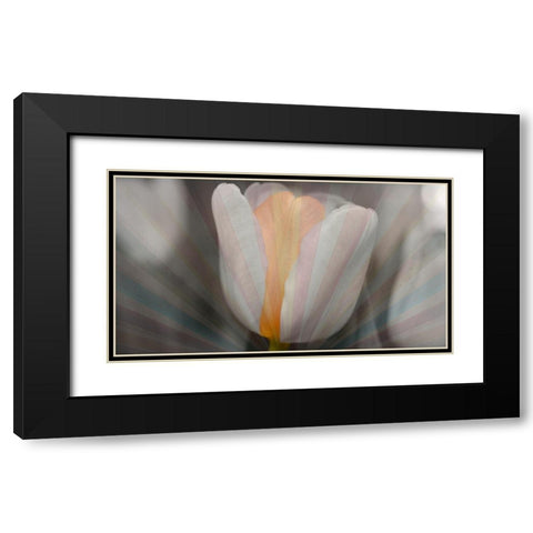 Tulip Surprise Black Modern Wood Framed Art Print with Double Matting by Bartola