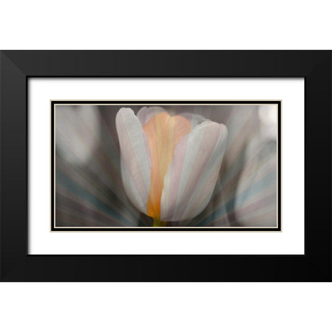 Tulip Surprise Black Modern Wood Framed Art Print with Double Matting by Bartola