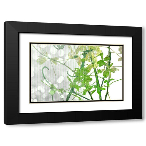 Branch In Green I Black Modern Wood Framed Art Print with Double Matting by Franklin