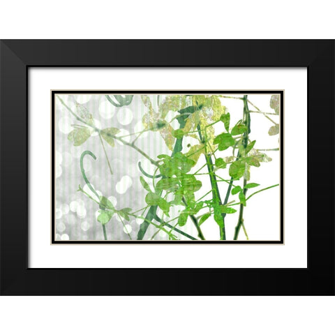Branch In Green I Black Modern Wood Framed Art Print with Double Matting by Franklin