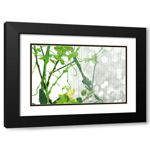 Branch In Green II Black Modern Wood Framed Art Print with Double Matting by Franklin