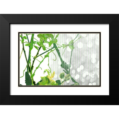 Branch In Green II Black Modern Wood Framed Art Print with Double Matting by Franklin