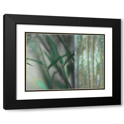 Morning Bamboo I Black Modern Wood Framed Art Print with Double Matting by Franklin