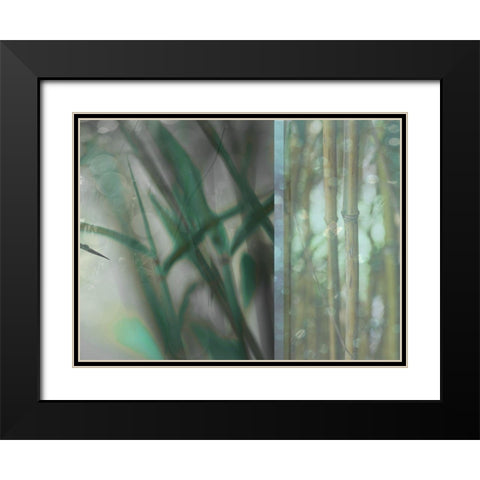 Morning Bamboo I Black Modern Wood Framed Art Print with Double Matting by Franklin