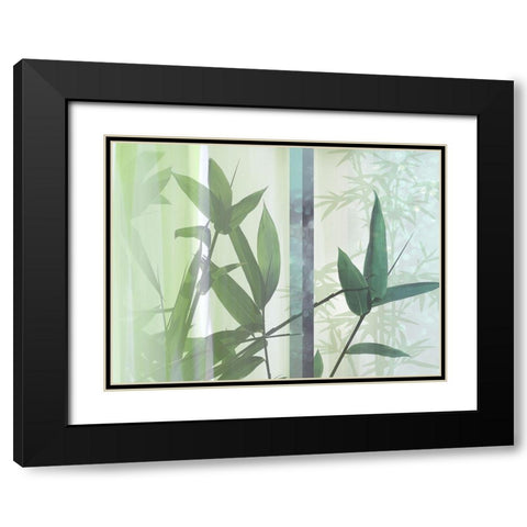 Morning Bamboo II Black Modern Wood Framed Art Print with Double Matting by Franklin