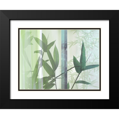 Morning Bamboo II Black Modern Wood Framed Art Print with Double Matting by Franklin