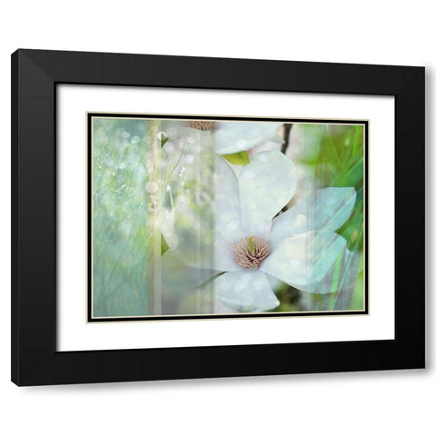 Magnolia Mist Black Modern Wood Framed Art Print with Double Matting by Franklin