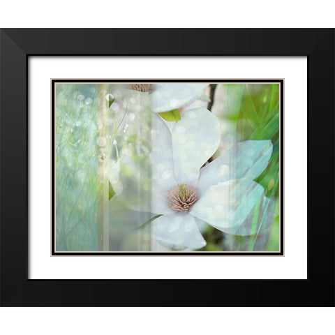 Magnolia Mist Black Modern Wood Framed Art Print with Double Matting by Franklin