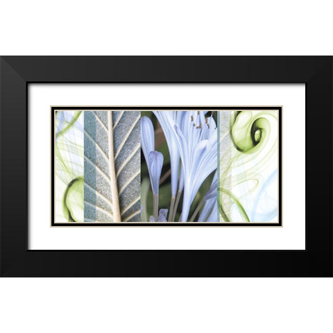Dreamy Black Modern Wood Framed Art Print with Double Matting by Franklin
