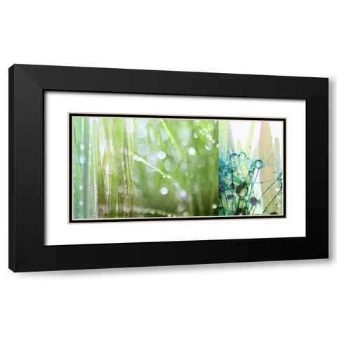 Morning Dew Black Modern Wood Framed Art Print with Double Matting by Franklin