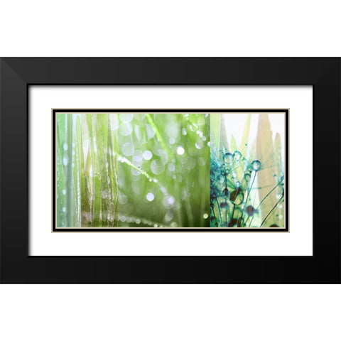 Morning Dew Black Modern Wood Framed Art Print with Double Matting by Franklin