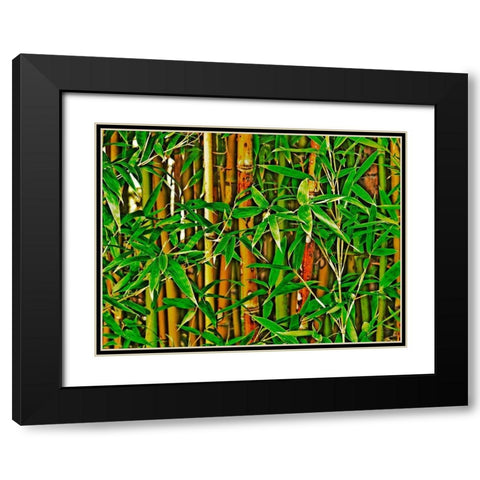 Bamboo in HD I Black Modern Wood Framed Art Print with Double Matting by Simons