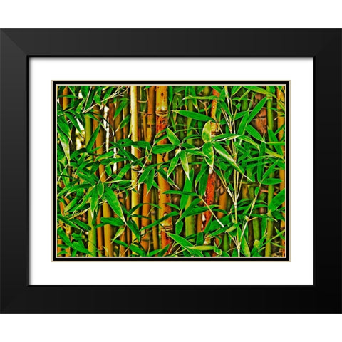 Bamboo in HD I Black Modern Wood Framed Art Print with Double Matting by Simons
