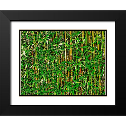Bamboo in HD II Black Modern Wood Framed Art Print with Double Matting by Simons