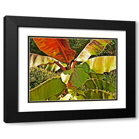 Banana Tree Black Modern Wood Framed Art Print with Double Matting by Simons