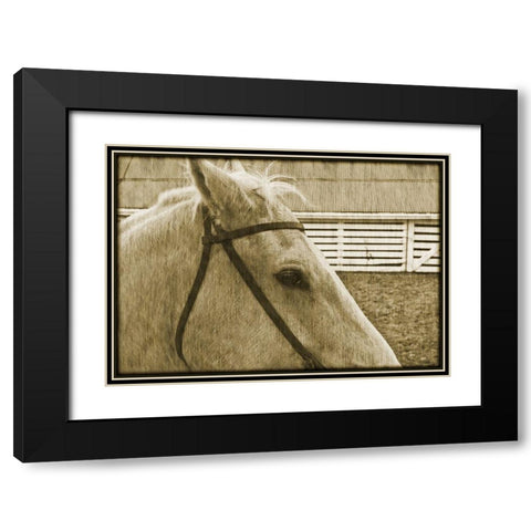 Composure Black Modern Wood Framed Art Print with Double Matting by Simons