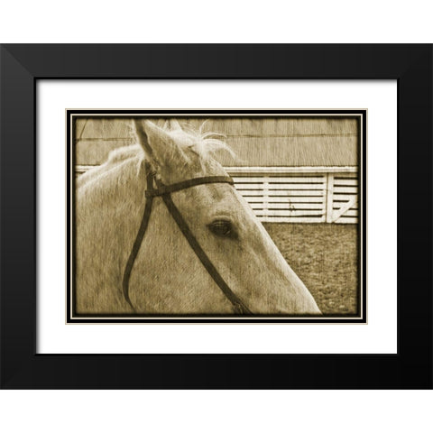 Composure Black Modern Wood Framed Art Print with Double Matting by Simons
